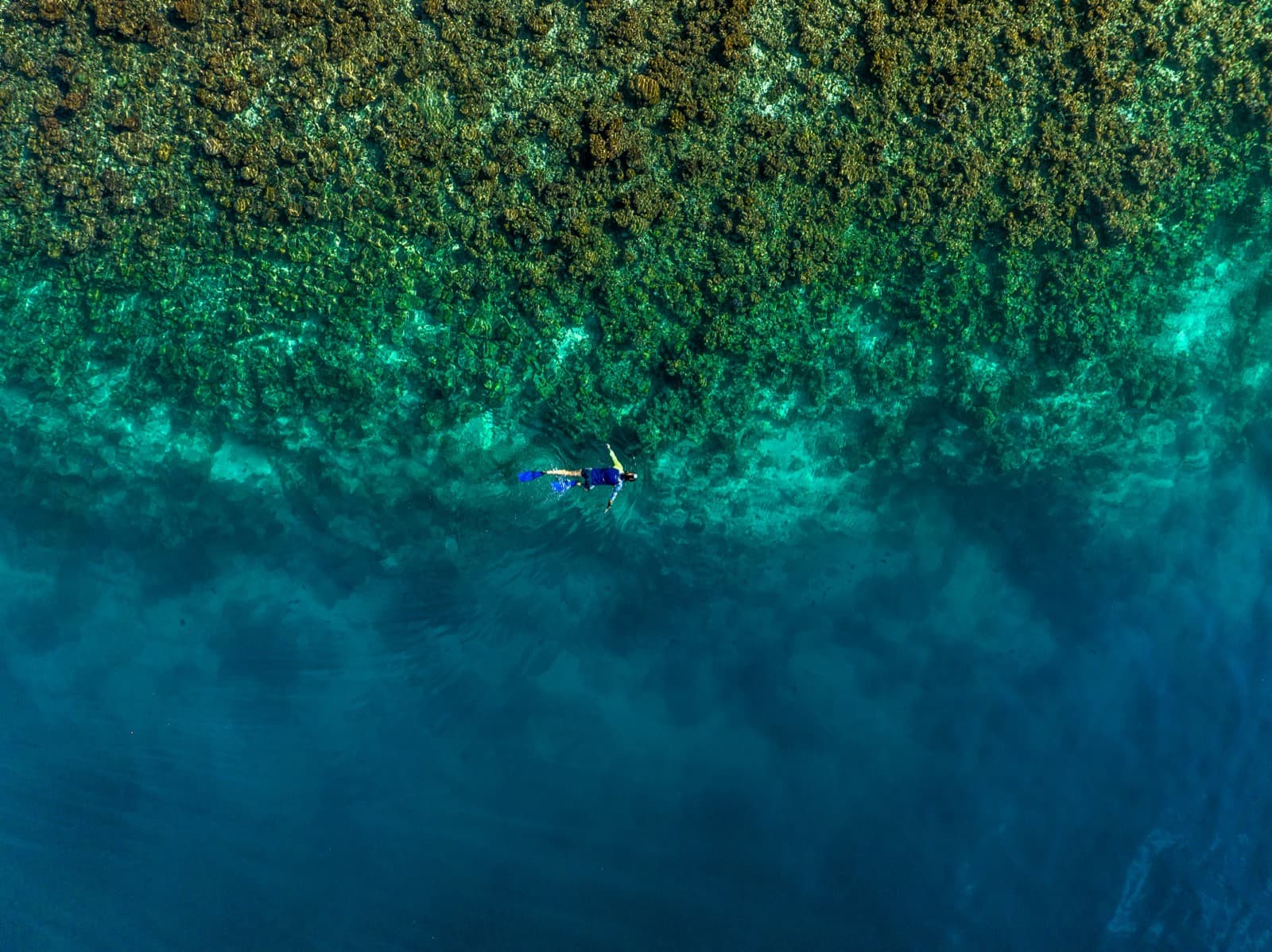 Divers preparing beside a boat near a coastal destination