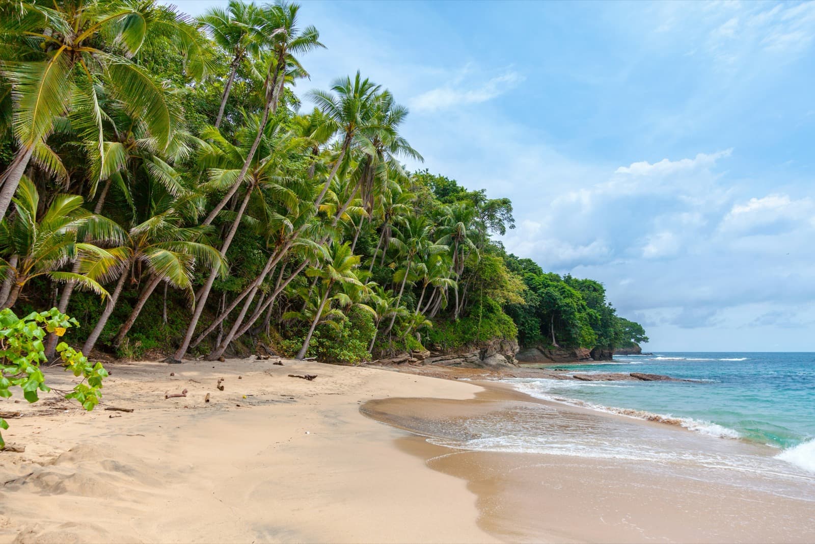 Palm-lined tropical beach for destination timing inspiration
