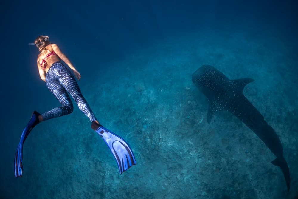 Shallow reef freediving