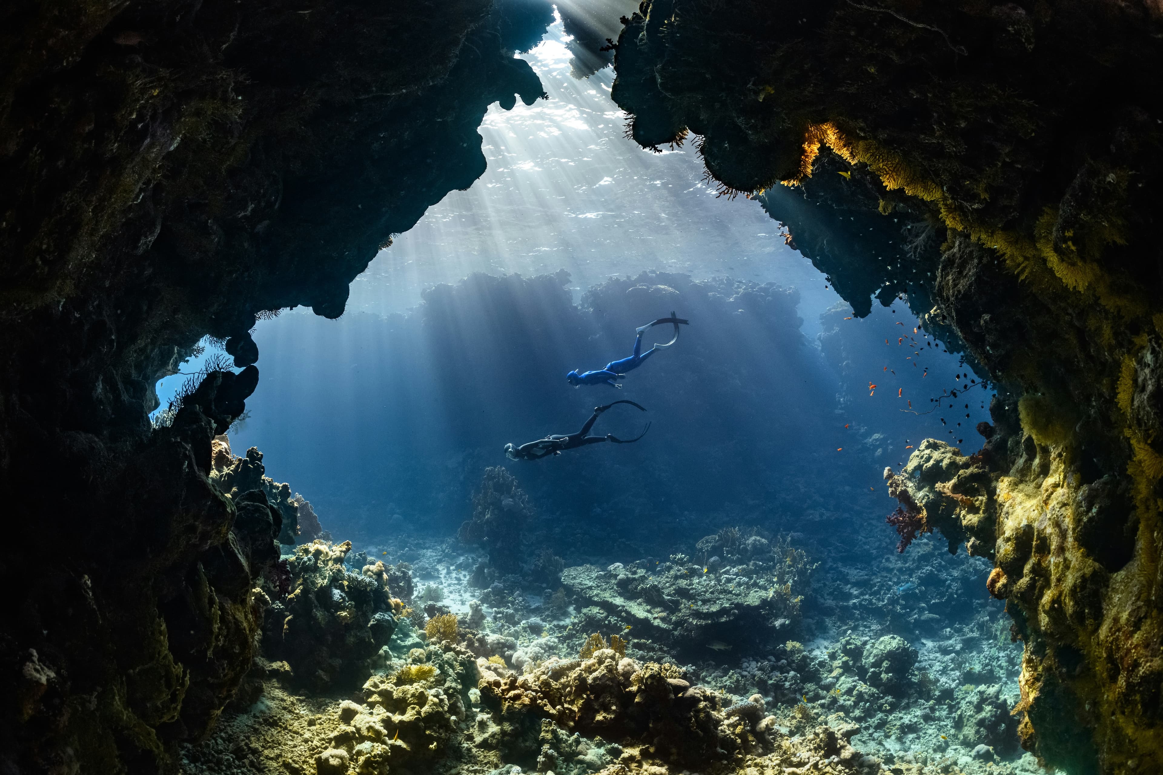 Freediver underwater