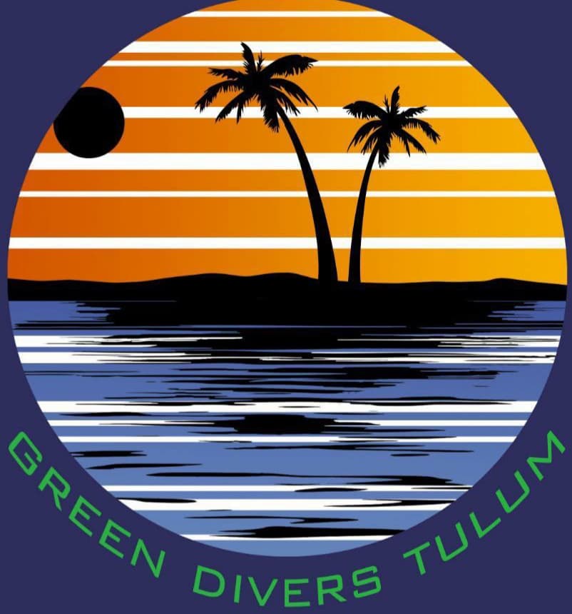 Green Divers Tulum hero image