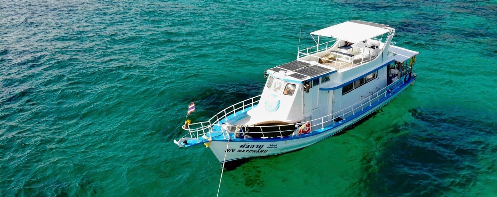 Aloha Diving hero image
