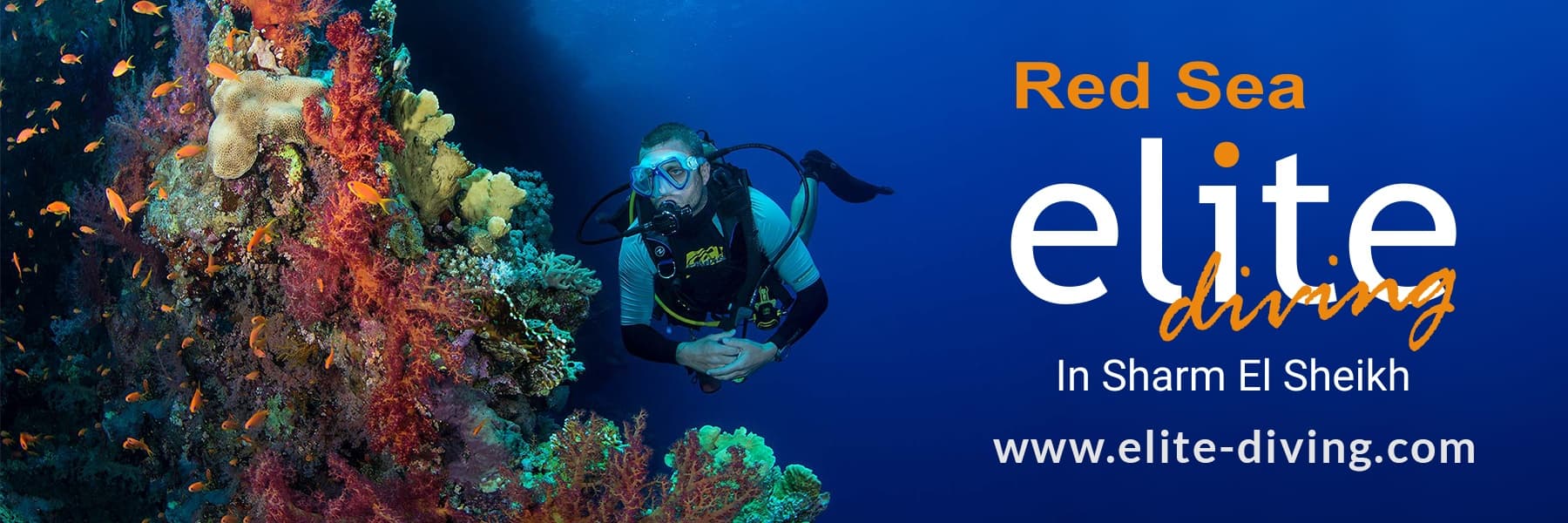 Red Sea Elite Diving with Divers United hero image