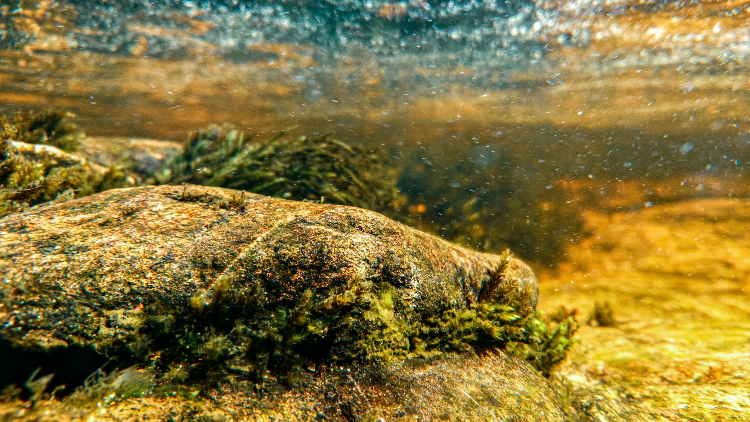 a large rock in the middle of a river