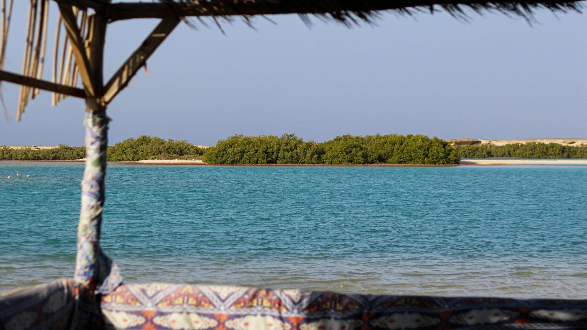 Hero photo of Marsa Alam (Abu Dabbab and Elphinstone)