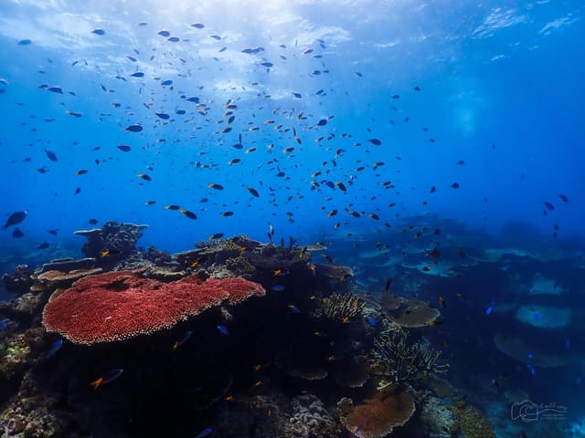 Photo of Cairns & Great Barrier Reef