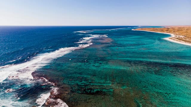 Photo of Ningaloo Reef (Exmouth & Coral Bay)