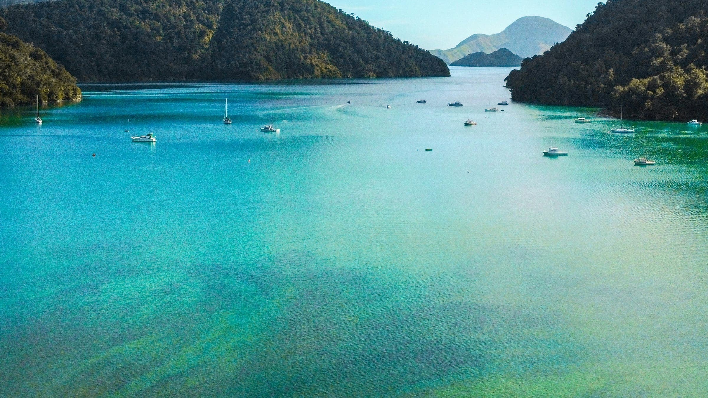 Hero photo of Marlborough Sounds Picton And Lermontov Wreck New Zealand