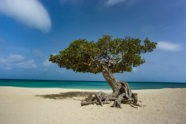 Photo of Aruba