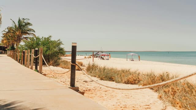 Photo of Shark Bay (Monkey Mia)