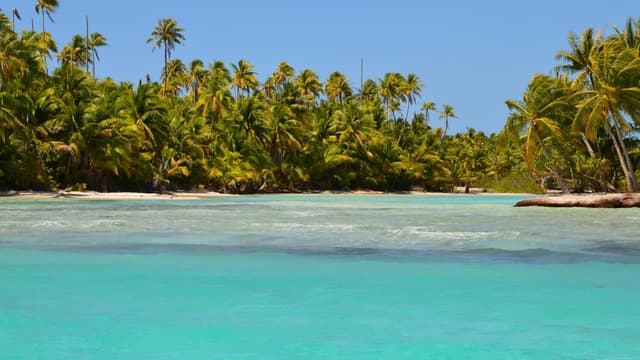 Photo of Rangiroa