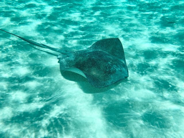 Photo of Cozumel