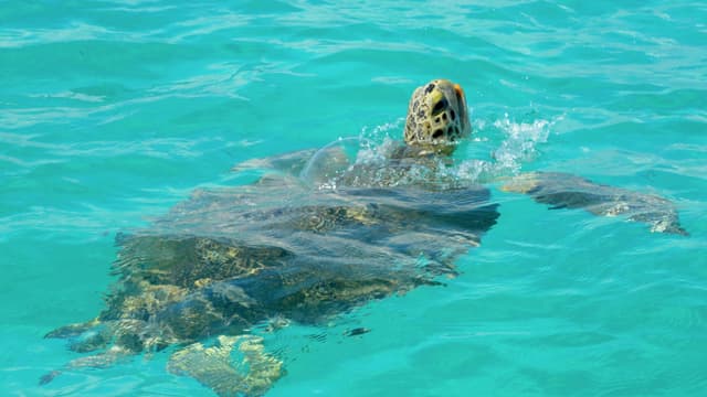 Photo of Cayman Brac