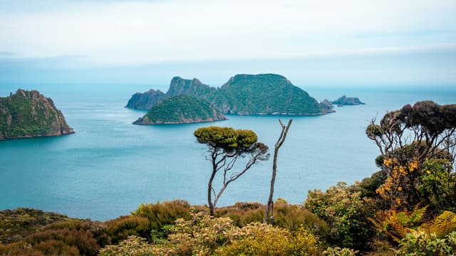 Photo of Stewart Island / Rakiura
