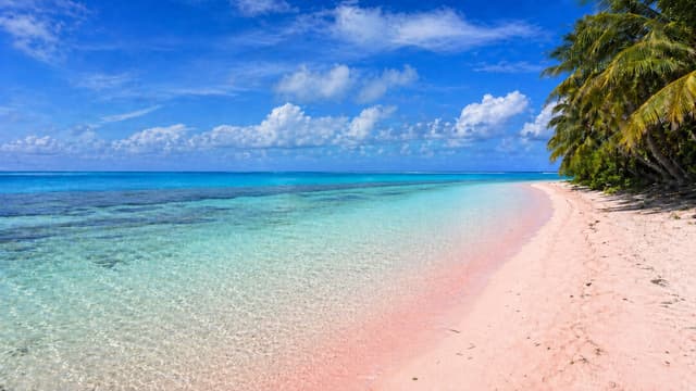 Photo of Tikehau