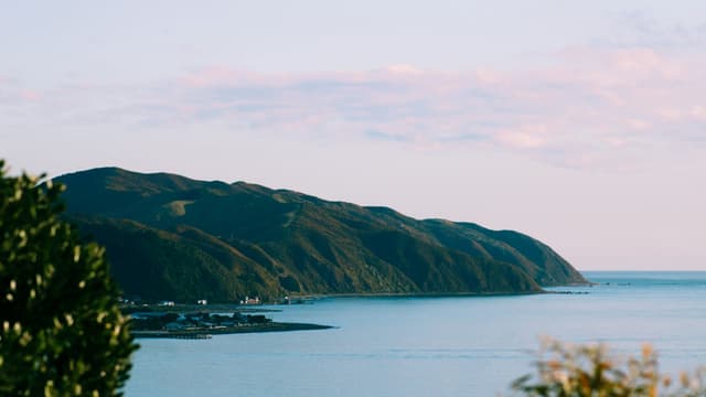 Photo of Wellington