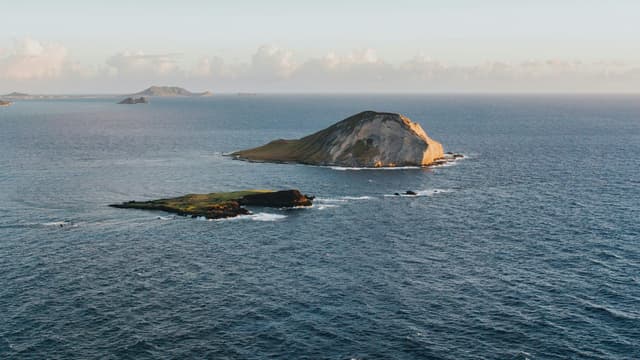Photo of Revillagigedo (Socorro Islands)