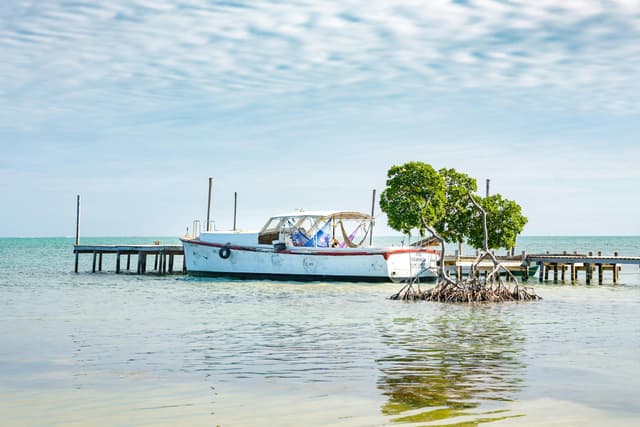 Photo of Caye Caulker