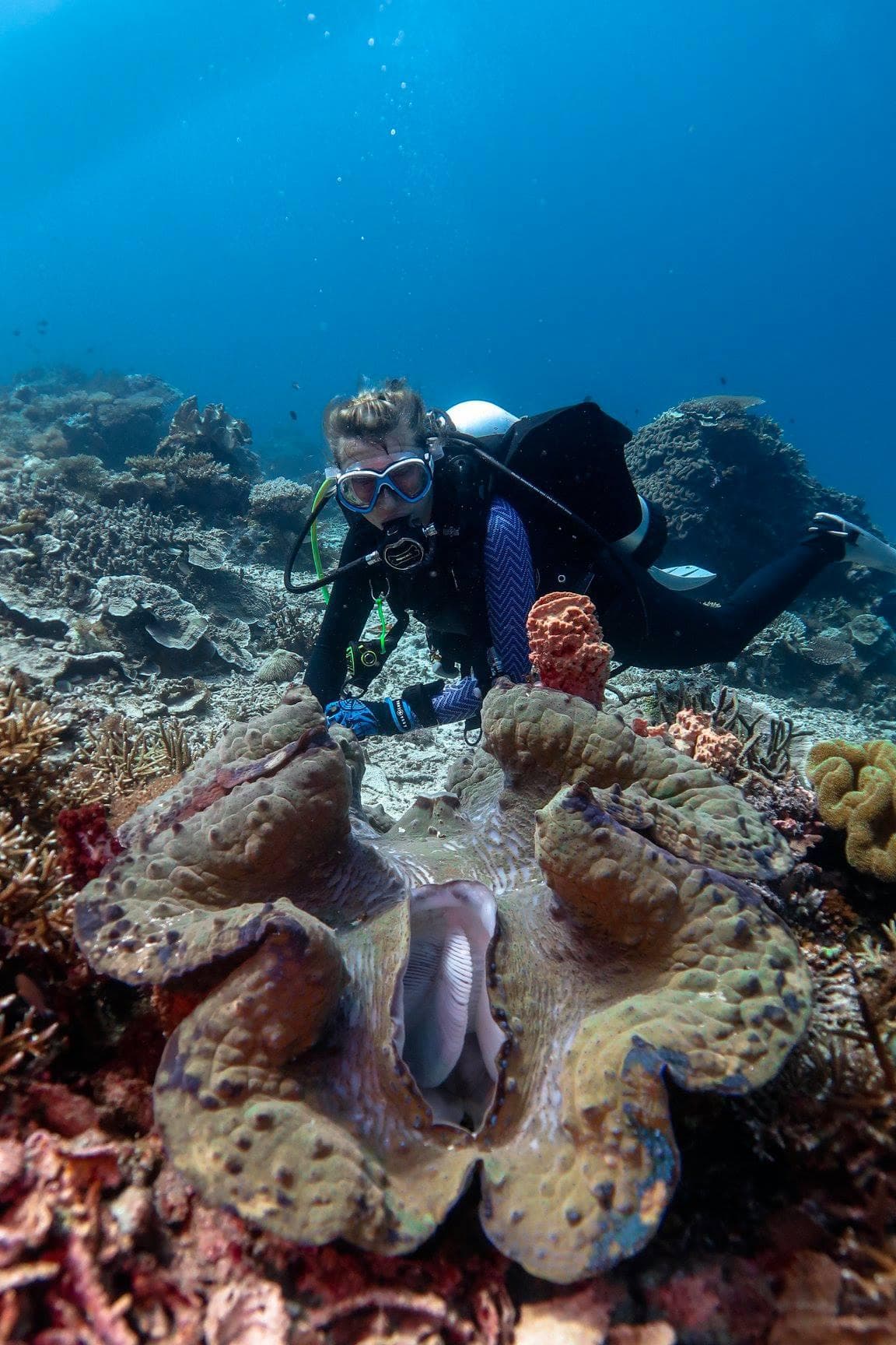 Yenkoranu dive spot
