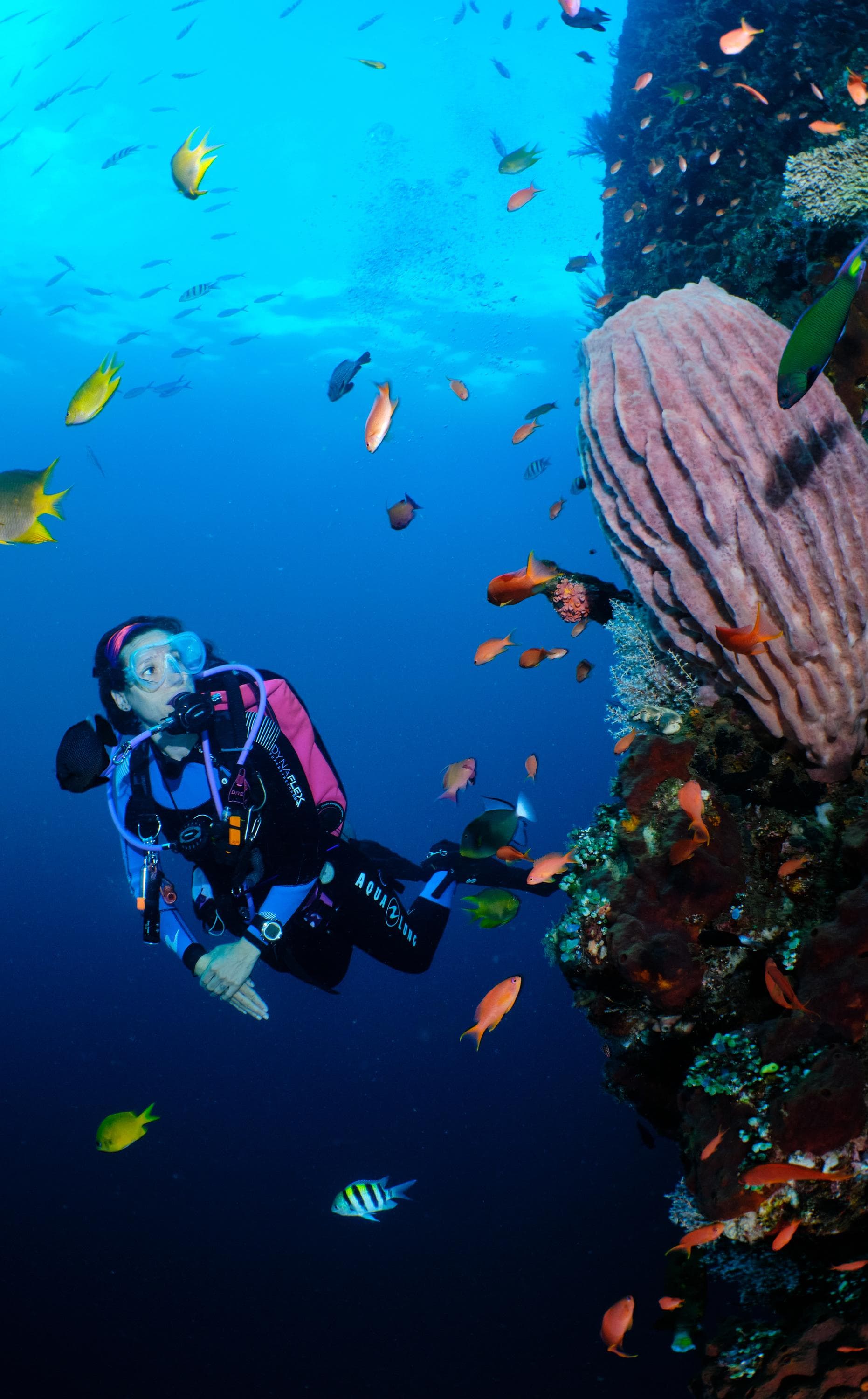 Ceningan Wall dive spot