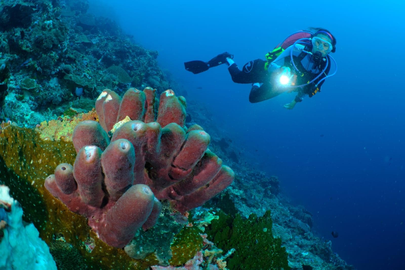 Karang Sari dive spot