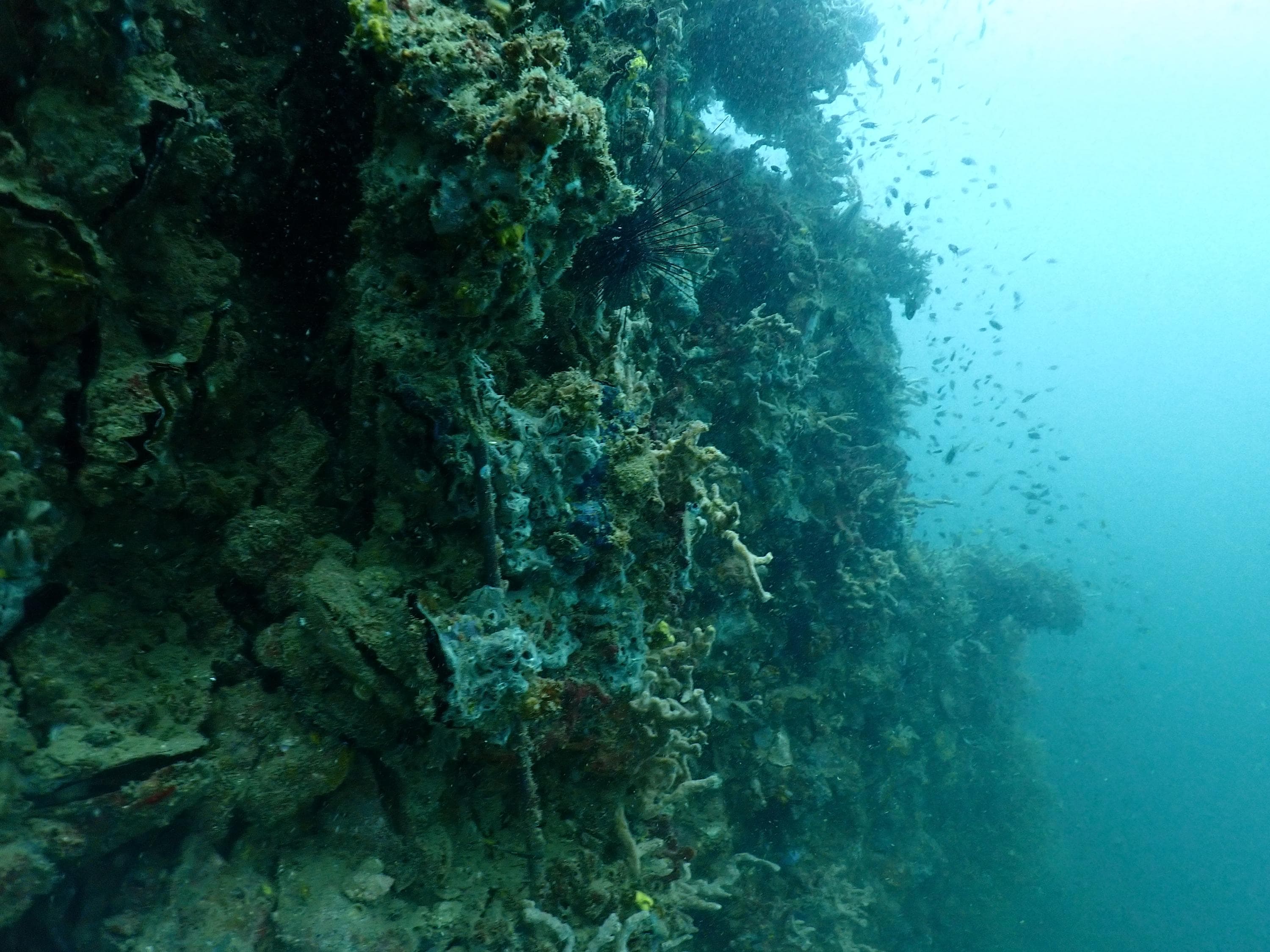 HTMS Khram dive spot